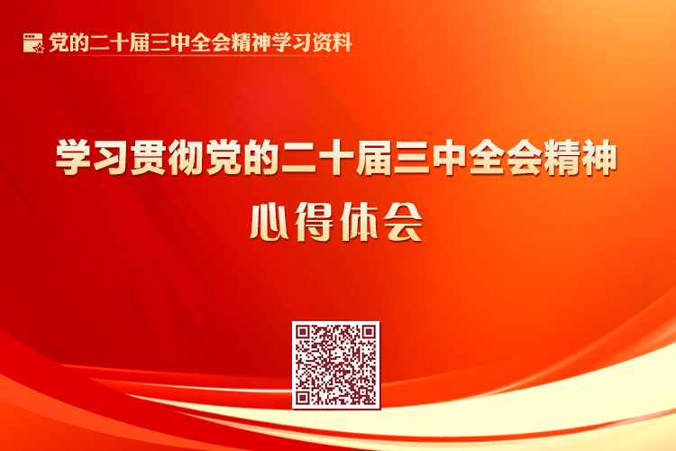 学习贯彻党的二十届三中全会精神心得体会